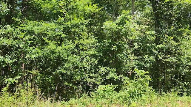 LOT2 Hollybrook Dr, Plantersville, TX 77363 - photo 6