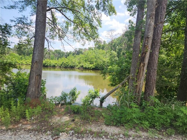 LOT2 Hollybrook Dr, Plantersville, TX 77363 - photo 4