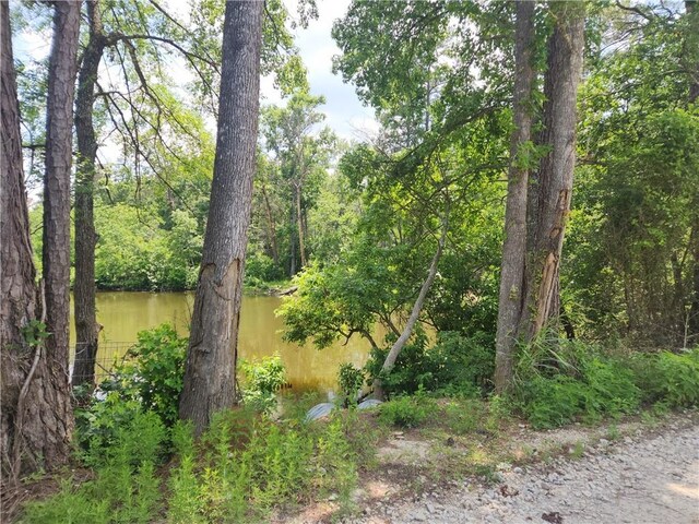 LOT2 Hollybrook Dr, Plantersville, TX 77363 - photo 3