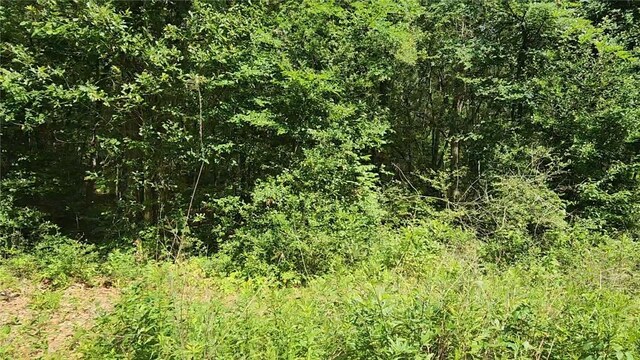 LOT2 Hollybrook Dr, Plantersville, TX 77363 - photo 8