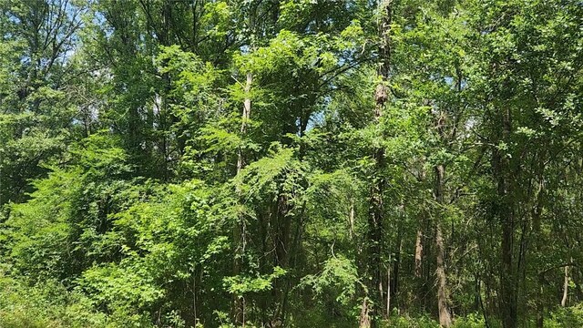 LOT2 Hollybrook Dr, Plantersville, TX 77363 - photo 18