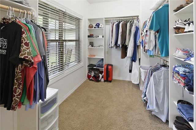 walk in closet featuring carpet floors