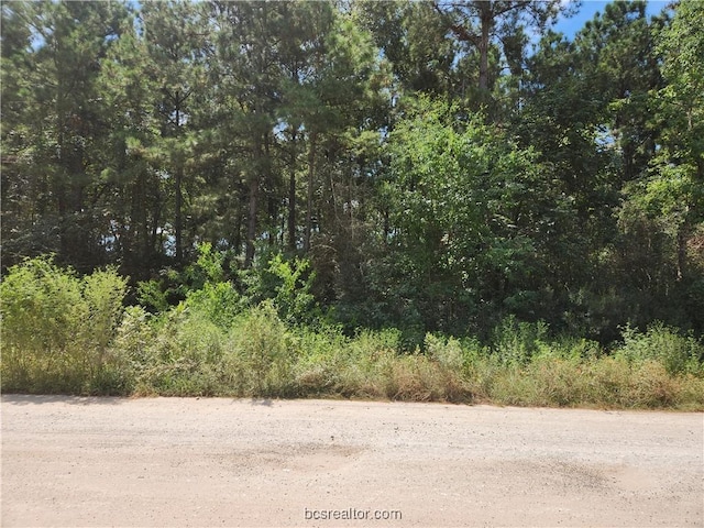 LOT5 Tawnyberry Ln, Plantersville TX, 77363 land for sale