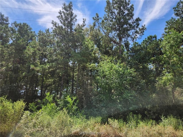 Listing photo 2 for LOT5 Tawnyberry Ln, Plantersville TX 77363