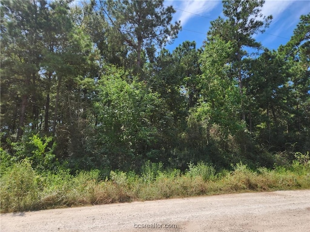 Listing photo 3 for LOT5 Tawnyberry Ln, Plantersville TX 77363