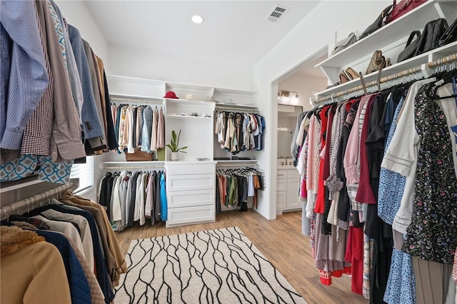 6038 Rain Meadow Dr, College Station, TX 77845 - spacious closet with light wood-style floors