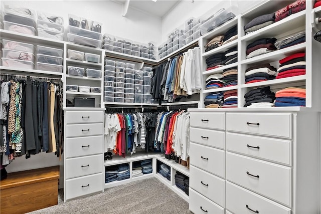 walk in closet with carpet flooring