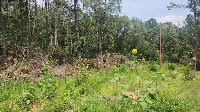 LOT28 Honey Locust, Plantersville, TX 77363