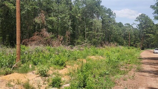 LOT28 Honey Locust, Plantersville, TX 77363