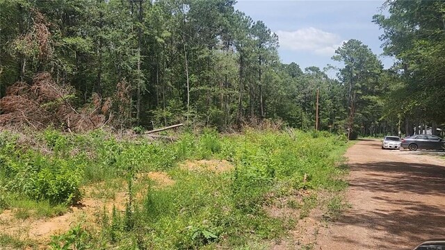 LOT28 Honey Locust, Plantersville, TX 77363