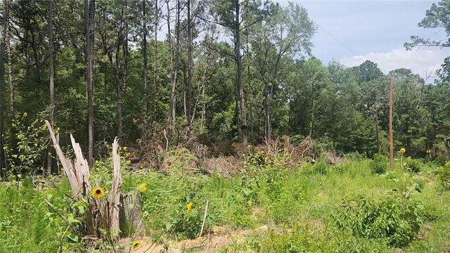 LOT28 Honey Locust, Plantersville, TX 77363