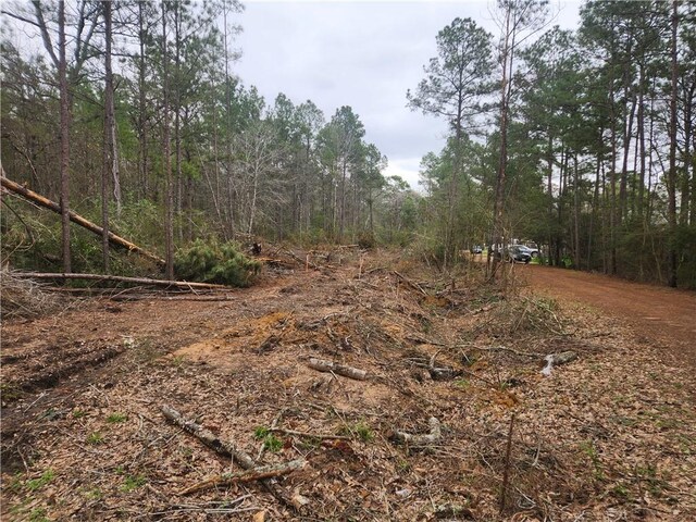 LOT28 Honey Locust, Plantersville, TX 77363