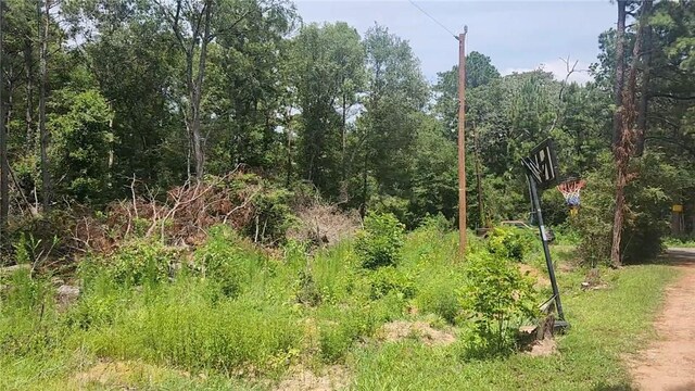 LOT28 Honey Locust, Plantersville, TX 77363