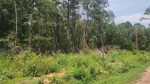 LOT28 Honey Locust, Plantersville, TX 77363