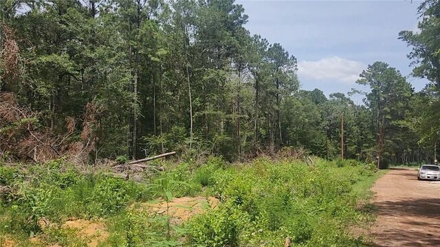 LOT28 Honey Locust, Plantersville, TX 77363