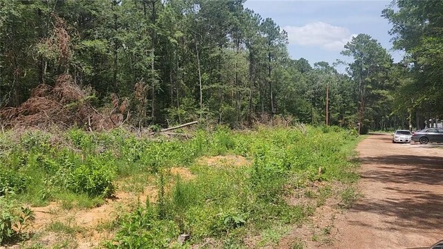 LOT28 Honey Locust, Plantersville, TX 77363
