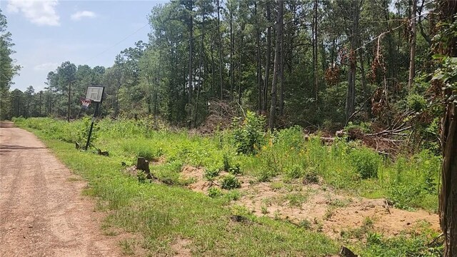 LOT28 Honey Locust, Plantersville, TX 77363