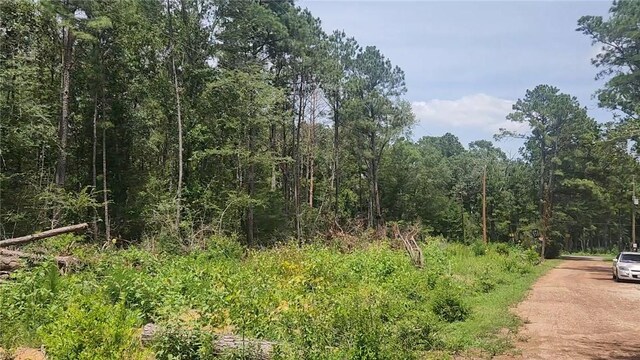 LOT28 Honey Locust, Plantersville, TX 77363