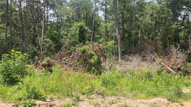 LOT28 Honey Locust, Plantersville, TX 77363