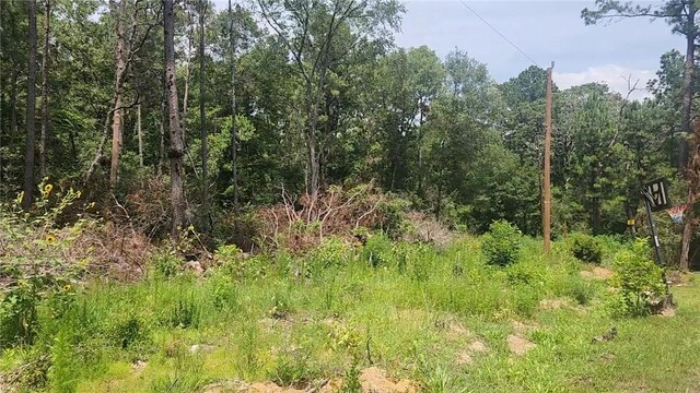 LOT28 Honey Locust, Plantersville, TX 77363