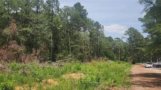 LOT28 Honey Locust, Plantersville, TX 77363