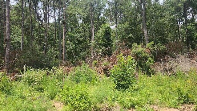 LOT28 Honey Locust, Plantersville, TX 77363
