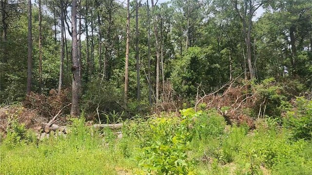 LOT28 Honey Locust, Plantersville, TX 77363