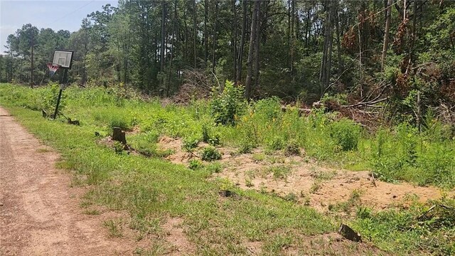 LOT28 Honey Locust, Plantersville, TX 77363