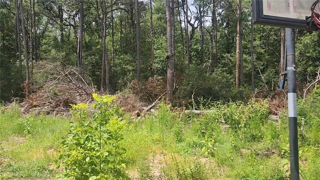 LOT28 Honey Locust, Plantersville, TX 77363