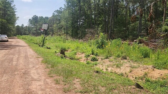LOT28 Honey Locust, Plantersville, TX 77363