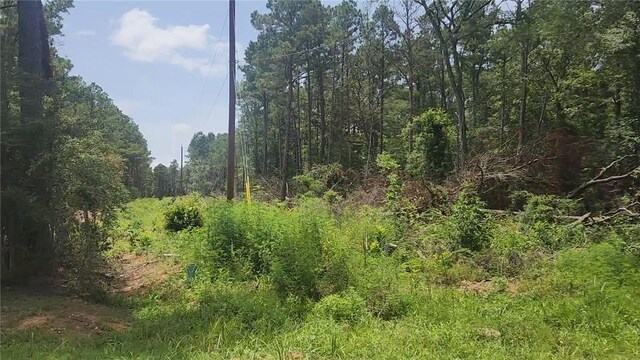 LOT28 Honey Locust, Plantersville, TX 77363