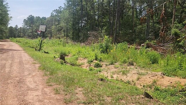LOT28 Honey Locust, Plantersville, TX 77363