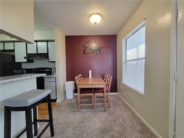 dining room featuring a textured ceiling