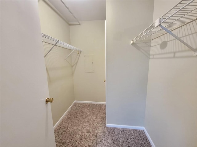 walk in closet with carpet floors