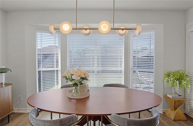 dining room with hardwood / wood-style floors