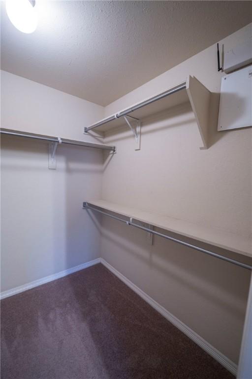 walk in closet featuring dark colored carpet