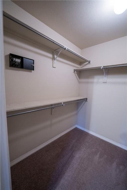 spacious closet featuring carpet floors