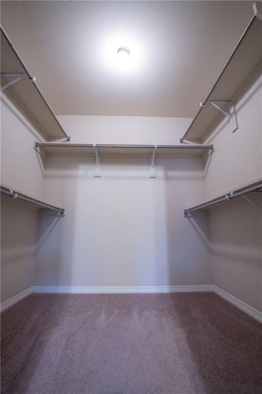 spacious closet featuring carpet floors