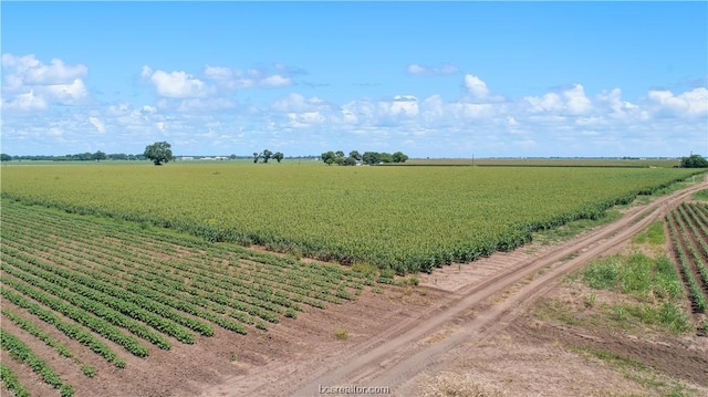 12485 Sandy Point Rd, Bryan TX, 77807 land for sale