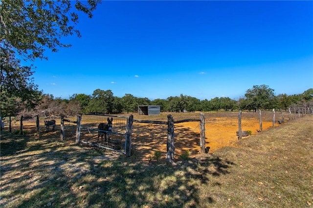 view of yard with a rural view