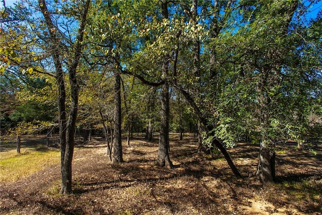 view of nature