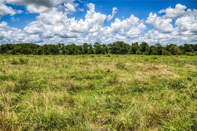 view of landscape with a rural view