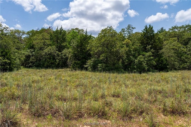 TBD Chestnut Dr, Caldwell TX, 77836 land for sale