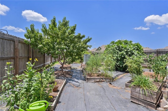 2074 Positano Loop, Bryan, TX 77808 - exterior space