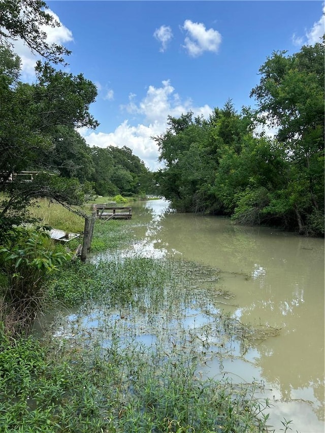 2020 Carter Lake Dr, College Station, TX 77845 - water view featuring a heavily wooded area