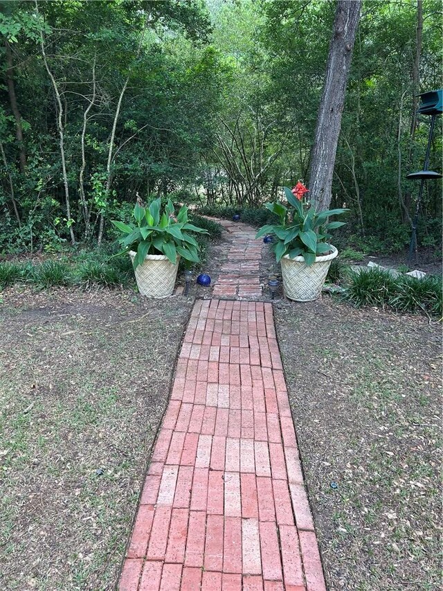 2020 Carter Lake Dr, College Station, TX 77845 - view of yard