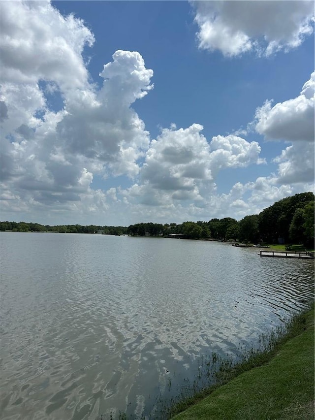 2020 Carter Lake Dr, College Station, TX 77845 - water view