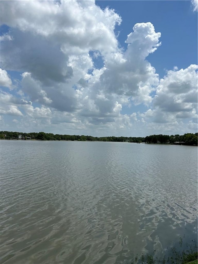 2020 Carter Lake Dr, College Station, TX 77845 - water view