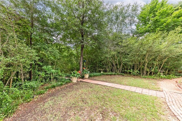 2020 Carter Lake Dr, College Station, TX 77845 - photo 23