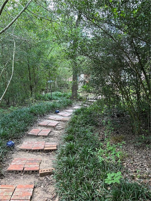 2020 Carter Lake Dr, College Station, TX 77845 - view of yard
